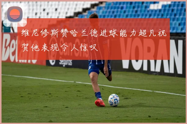 维尼修斯赞哈兰德进球能力超凡祝贺他表现令人惊叹