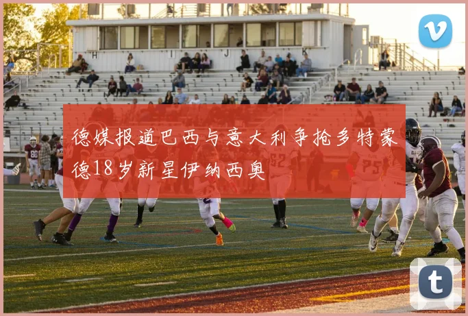 德媒报道巴西与意大利争抢多特蒙德18岁新星伊纳西奥